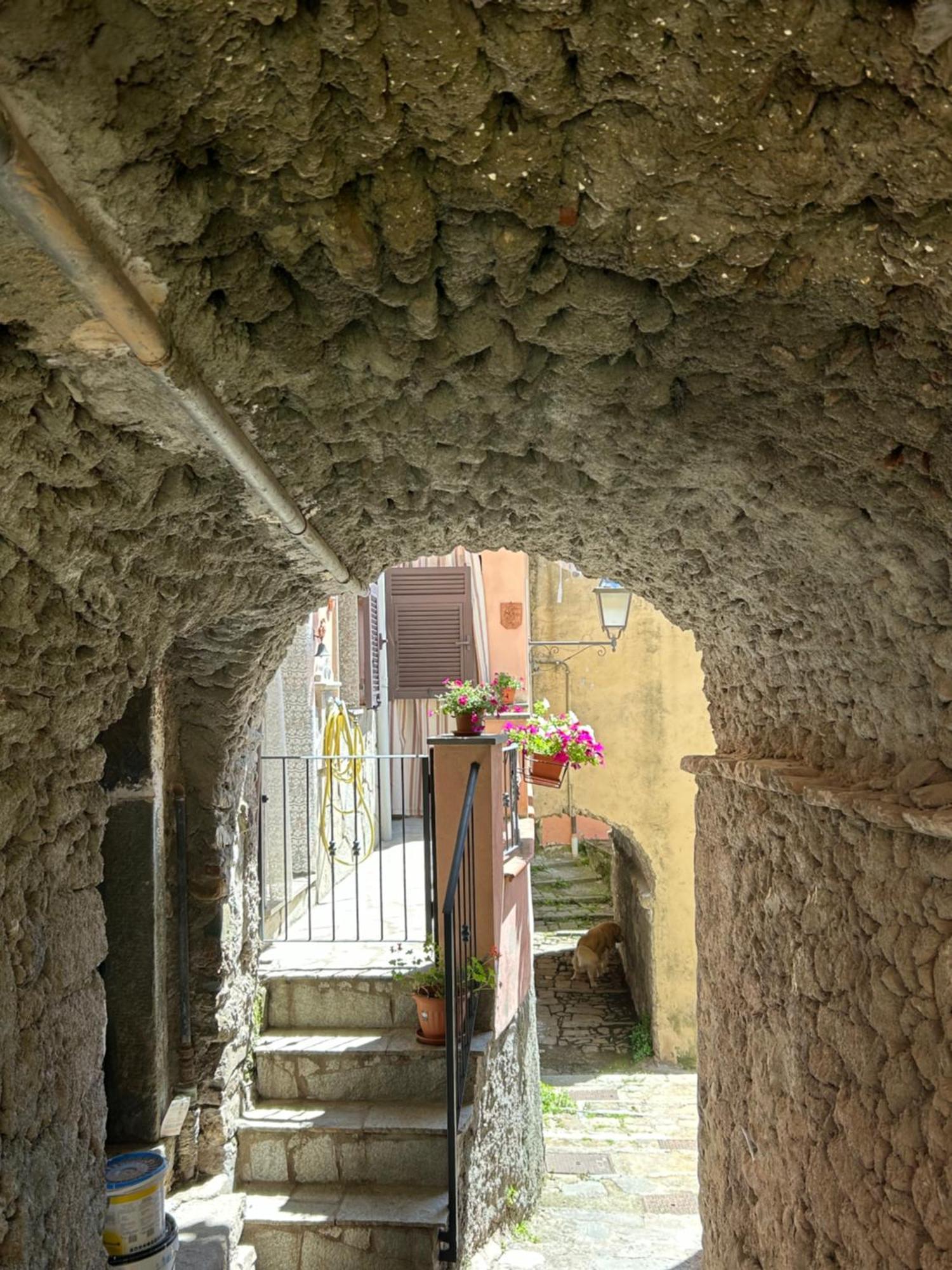 Ca De Igiu-Biassa-Cinque Terre Apartman Kültér fotó